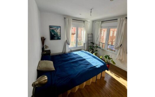 Piso en alquiler en Universidad-Malasaña