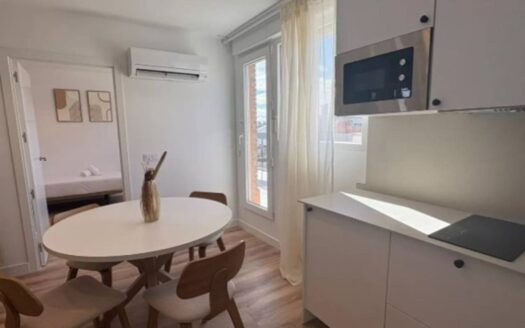 Ático en alquiler temporal en Guindalera