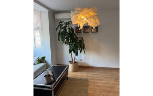 Piso en alquiler en Río Rosas