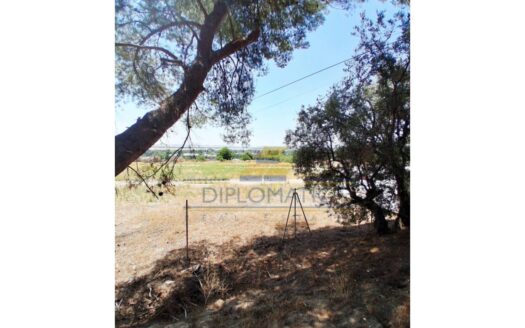 Terreno en alquiler en Paracuellos de Jarama