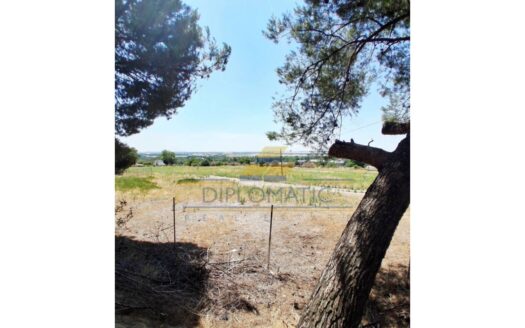 Terreno en alquiler en Paracuellos de Jarama